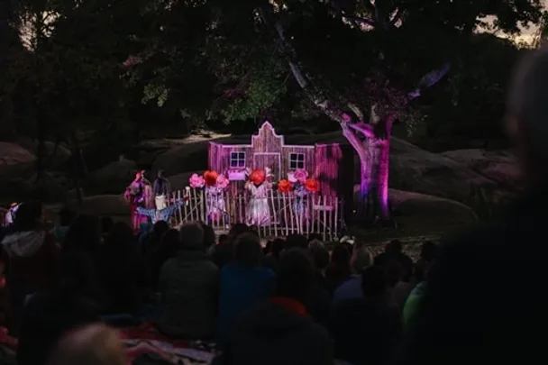A Summer Dream at Spier