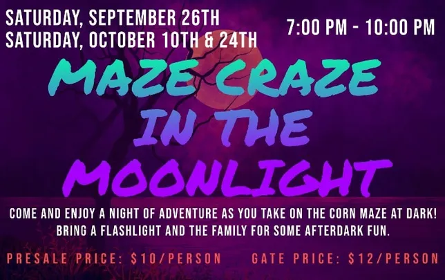 Maze Craze in the Moonlight (Night Maze)