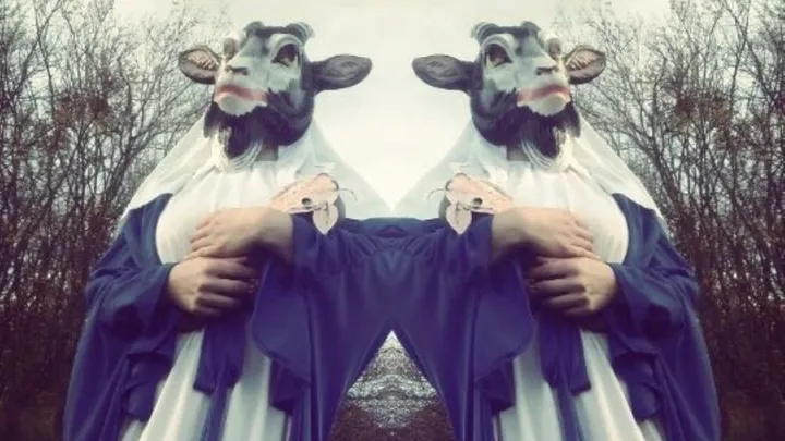 THE DEVIL & THE UNIVERSE
