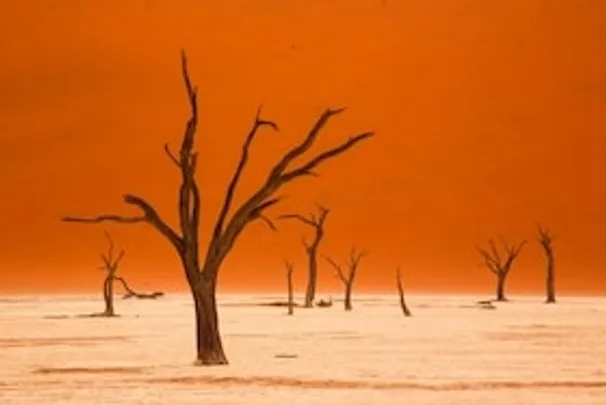Namibia - Die Schönheit Afrikas - Eine Live-Reportage von Andreas Huber