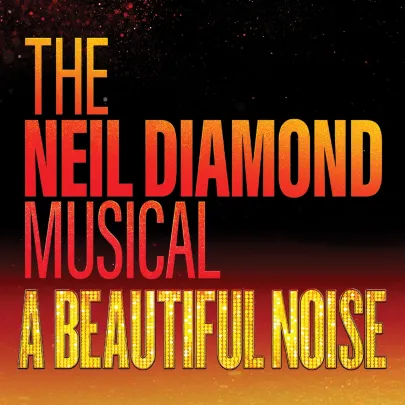 A Beautiful Noise