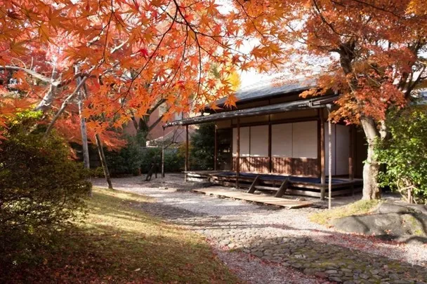 先着順【京都国立博物館】茶室堪庵で体験「東山大茶会」、モダン数寄者の建築を五感で味わい尽くす