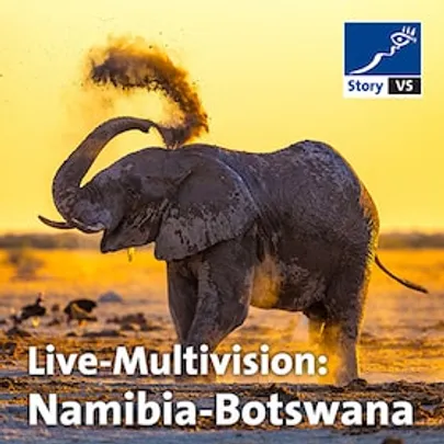 story VS: Namibia - Botswana - Echo der Schöpfung