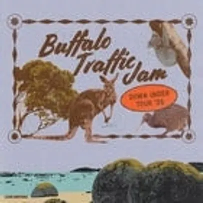Buffalo Traffic Jam