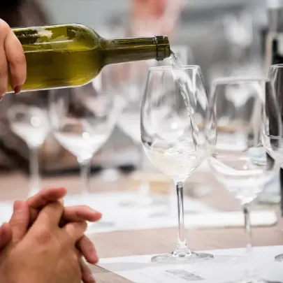 Curso Descobrir o Vinho - Lisboa