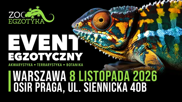 ZooEgzotyka Warszawa