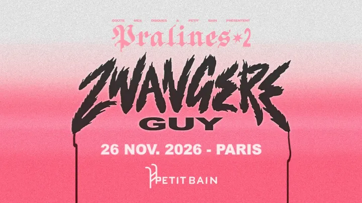 Pralines#2 : ZWANGERE GUY