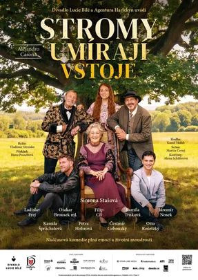 Stromy umírají vstoje
