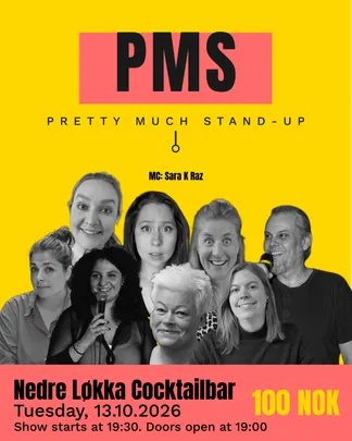 Female-centric comedy: PMS - Pretty Much Stand-Up