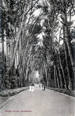 Craft Burghers - A Heritage Walking Tour Up the Liesbeek River