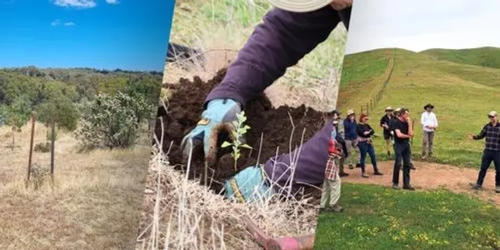 BushBank Walk & Talk: Restoration in Wooragee
