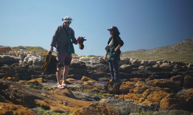 Coastal Forage Experience with Veld & Sea - 21 March