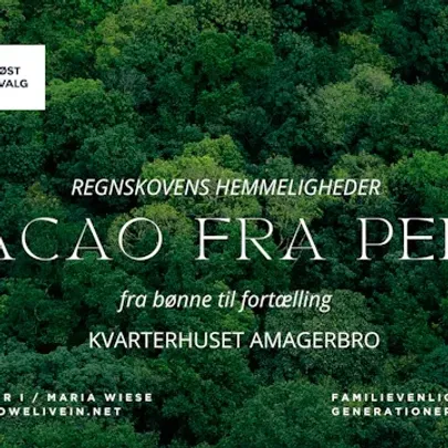 CACAO FRA PERU – Fra Bønne til Fortælling