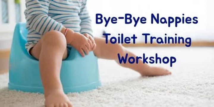 Bye-Bye Nappies. Where accidents happen ... and so do victories!