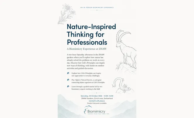 A Biomimicry Experience at ZHAW - Nature-inspired thinking