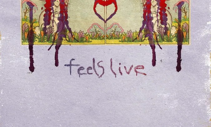 Animal Collective Performs Feels Live