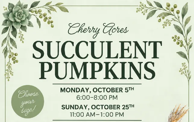 Succulent Pumpkins at Cherry Acres