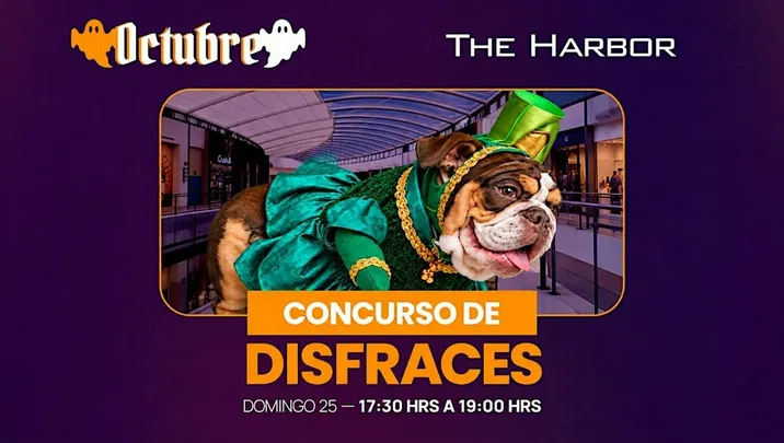 Perritos de Ultratumba · Concurso de Disfraces