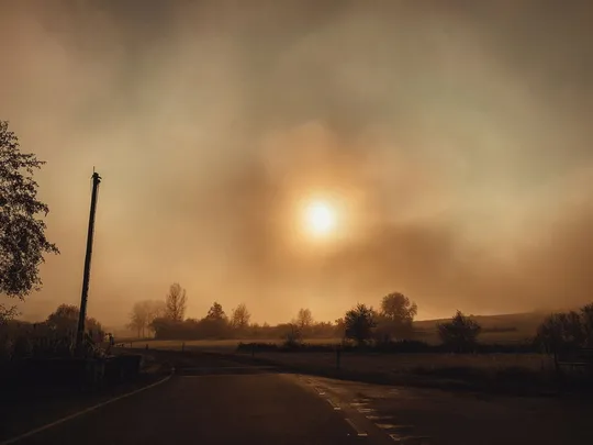 A Blaze of Mutes