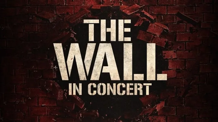 THE WALL - in concert