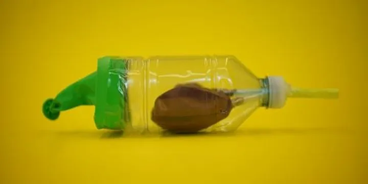 Saturday Create: Biology (Ages 8-12)