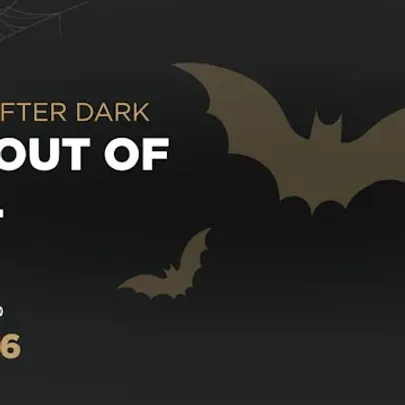 BINGO AFTER DARK - BAT OUT OF HELL