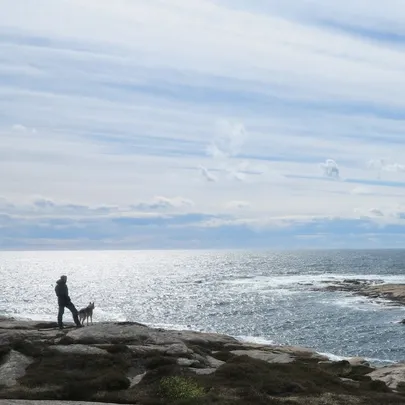 Oslofjorden, hva skjer a?