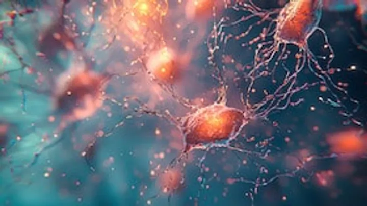 How Context Modulates Memory – in Flies and Humans