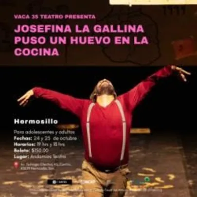 JOSEFINA LA GALLINA PUSO UN HUEVO EN LA COCINA  - SÁBADO 24