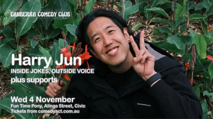 Harry Jun - Inside Jokes, Outside Voice