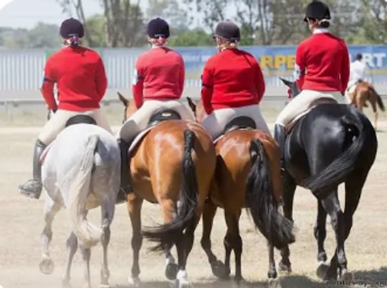 WAHRC Rally- Group Drill Riding