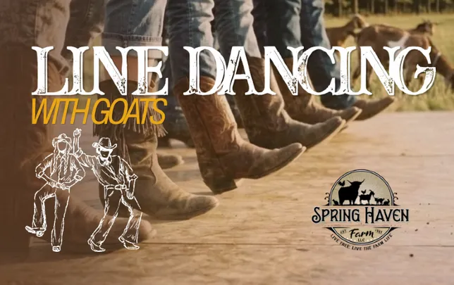 Line Dancing with Goats