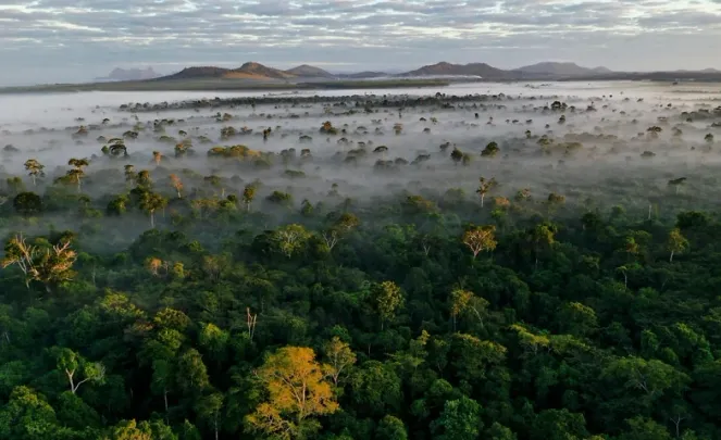 Einblicke in den globalen Zustand der Natur