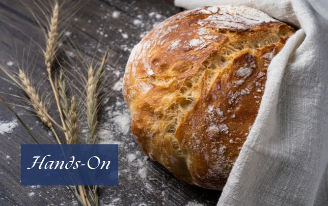 Hands On Baking: Sourdough