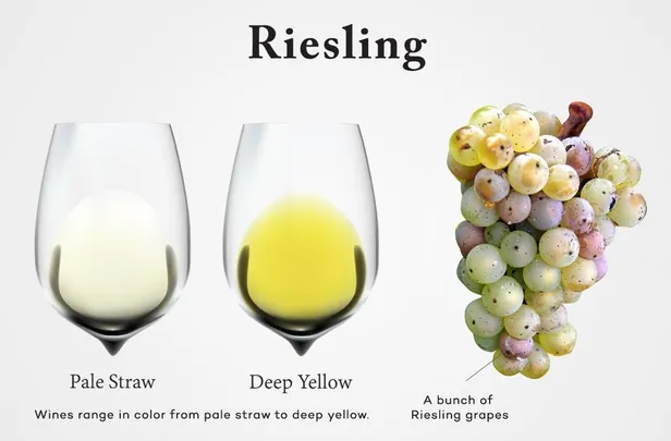 Riesling Retrospective