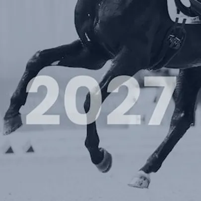Tageskarte Freitag Dressur 2027