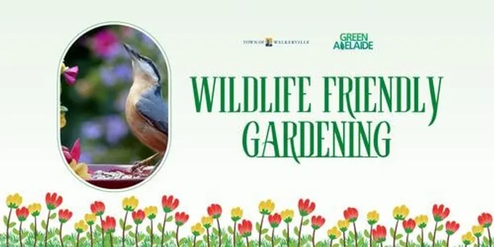 Wildlife friendly gardening