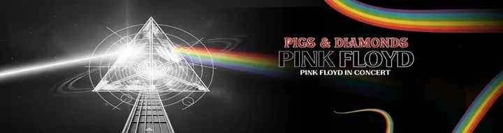 PIGS &amp; DIAMONDS - PINK FLOYD IN CONCERT