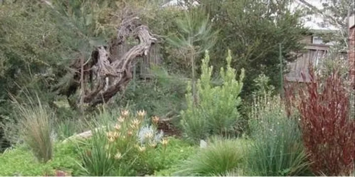 Creating a Habitat Garden