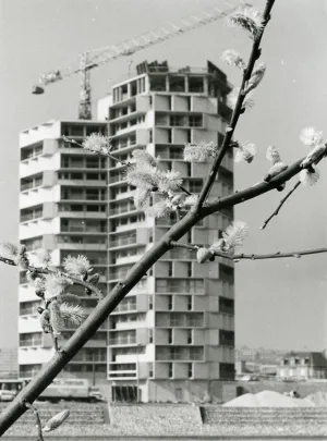 Visite guidée "Rive gauche : le quartier Damrémont"