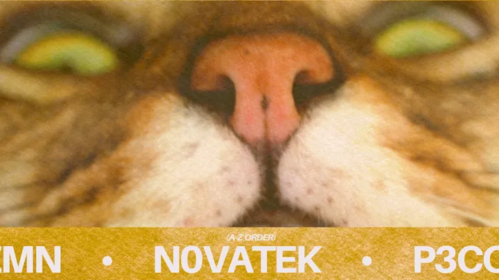 Down2Techno: N0vatek, EMN, P3co