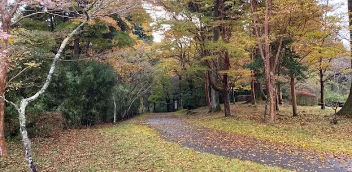 【箱根・少人数】（１１／１２）晩秋の箱根の色と香りを楽しむ森林セラピー｜本来の自分を取り戻す半日時間　１名さまから催行    (複製)