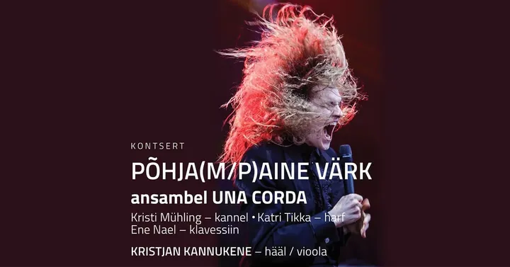 Ansambel Una Corda ja Kristjan Kannukene. PÕHJA(M/P)AINE VÄRK