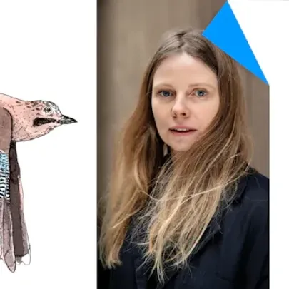 Tegn fugle med Signe Parkins