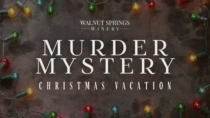 Murder Mystery Dinner Christmas Vacation