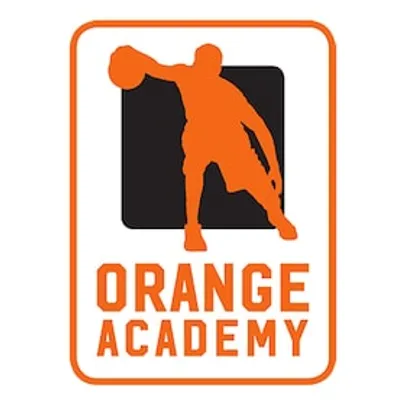 Artland Dragons - OrangeAcademy