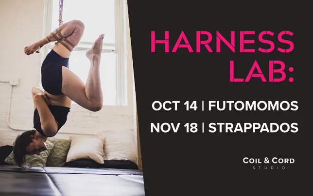 Harness Lab