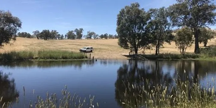 Farm dam enhancement workshop - Central Coast