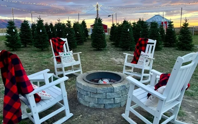 2026 VIP Christmas Tree Farm Experience