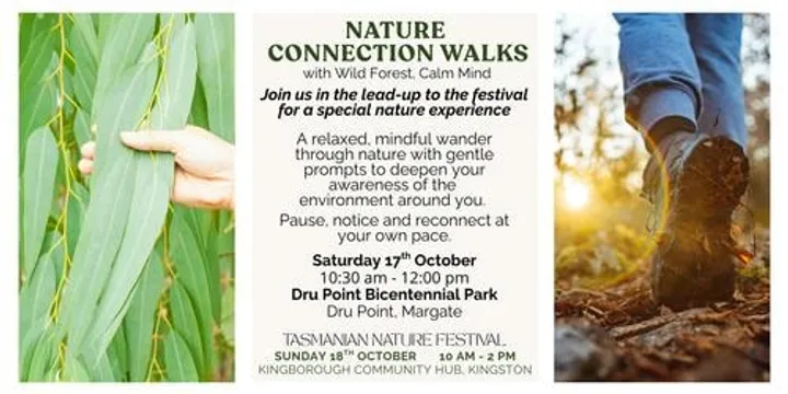 Nature Connection Walk - Sat 17th Oct - Tasmanian Nature Festival